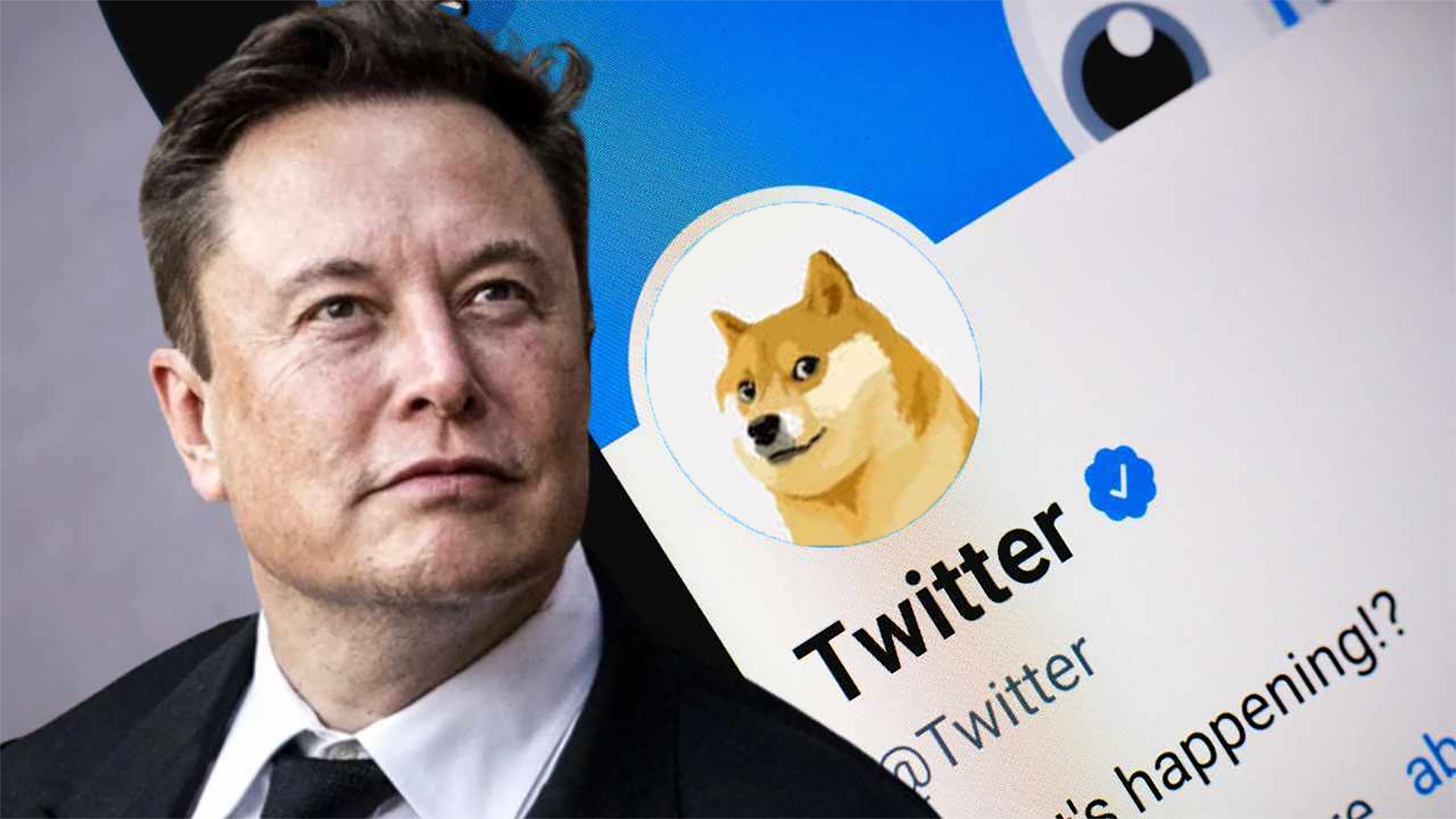 Pourquoi Elon Musk a-t-il changé le logo Twitter par un Dogecoin ?